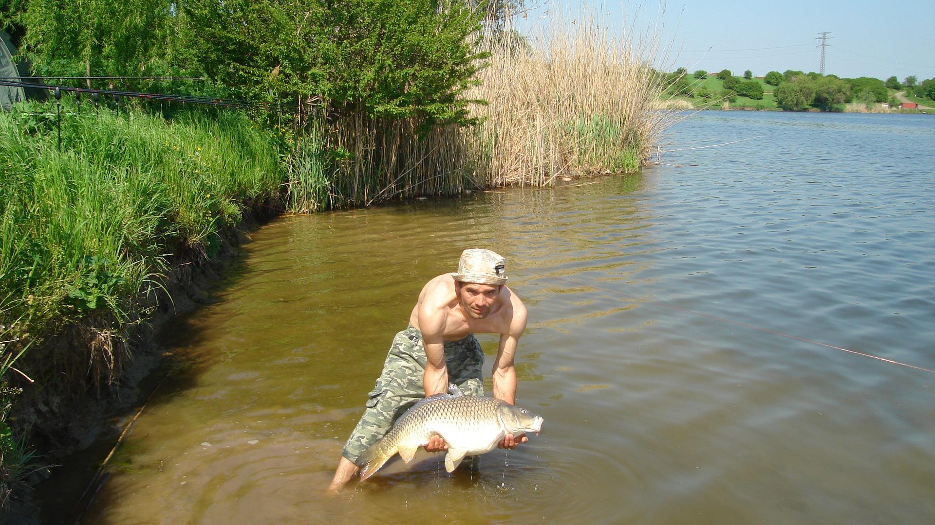 Tâncăbeşti  - dsc03334.JPG